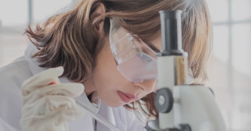 ���`�[���������J���������e�t�y�k�{�[�e �U �Z�����z���T�C�g